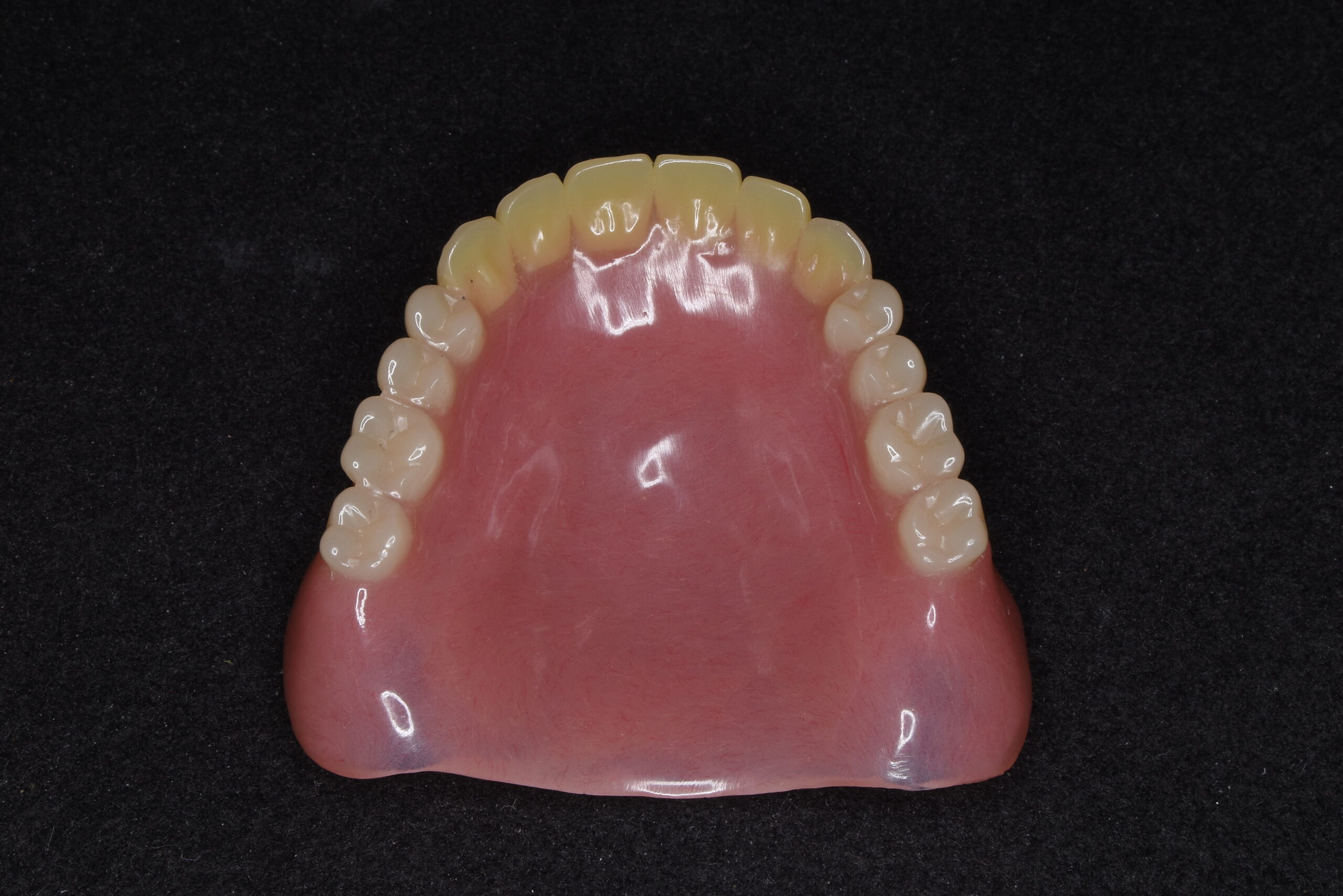 保険レジン床義歯